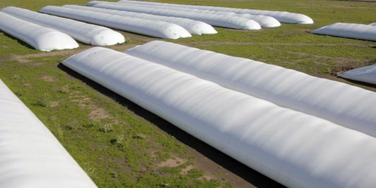 El agro en tiempos de cuarentena: Las agronomías venden por teléfono,.. y explotó la demanda de bolsones