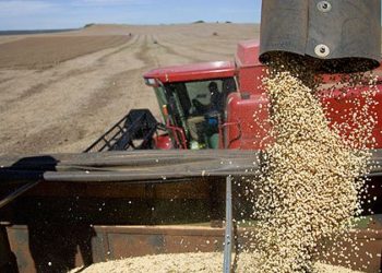 Se cerró el círculo solidario en Rojas: Los productores donan soja y una cerealera se hace cargo del flete