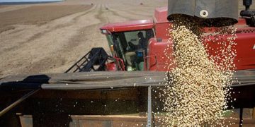 Se cerró el círculo solidario en Rojas: Los productores donan soja y una cerealera se hace cargo del flete