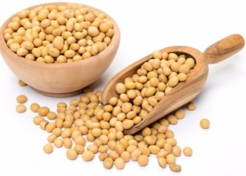 La levantan en pala… Pero el poder de compra de la soja cayó a los mínimos de toda una década