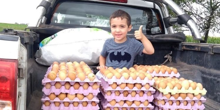 Una experiencia concreta con gallineros móviles: Santiago los incorporó pensando en crear recursos para sus trabajadores