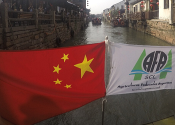 La cooperativa AFA concretará el primer cargamento de arvejas para China