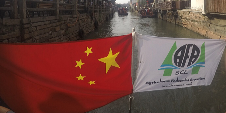 La cooperativa AFA concretará el primer cargamento de arvejas para China