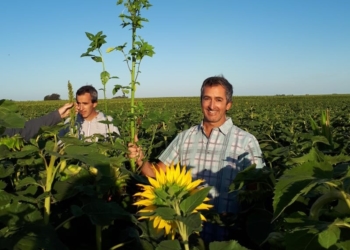 Agustín Bilbao: “Las malezas resistentes son el error que comete el protagonista a los 30 minutos de la película y el punto de partida para que se replantee su vida”