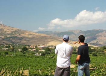 Sabores y saberes: Con sus vinos “Cara Sur”, Pancho y Sebastián rescatan antiguos parrales y técnicas tradicionales del valle de Calingasta