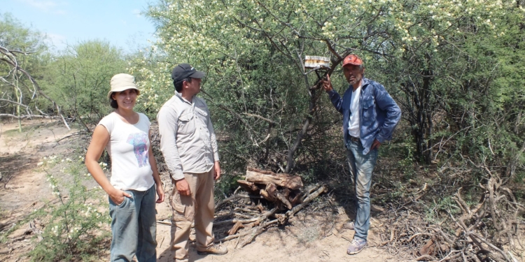 Abejas nativas y sin aguijón: Aportan una miel distinta y abren una posibilidad para pequeños productores