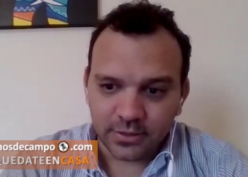 AgroPeriodistas: Esteban Montgaillard, desde Corrientes, advierte que se pararon las exportaciones de arroz y madera