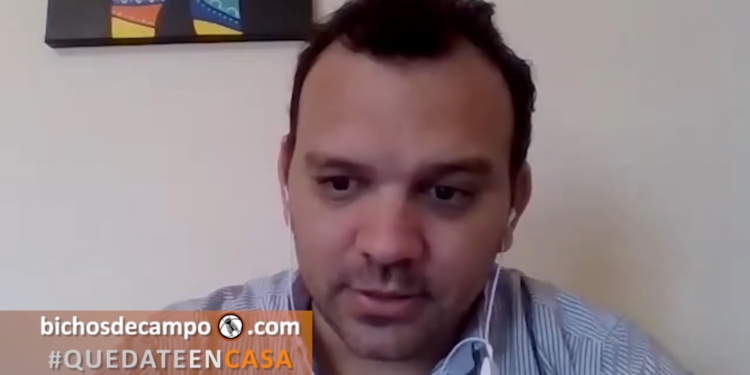 AgroPeriodistas: Esteban Montgaillard, desde Corrientes, advierte que se pararon las exportaciones de arroz y madera