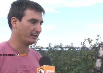 Sebastián Guizzo relata la encrucijada del productor de vid: Sin demanda ni precio y cobrando a los premios
