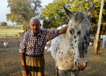 La particular historia de José Pantano: sobrevivió a la Fiebre Hemorrágica Argentina y con 76 años ahora le hace frente a la nueva pandemia