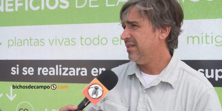 Para el productor Pablo López Anido, es imposible “pretender que un sistema de producción basado en solo tres cultivos sea sustentable”