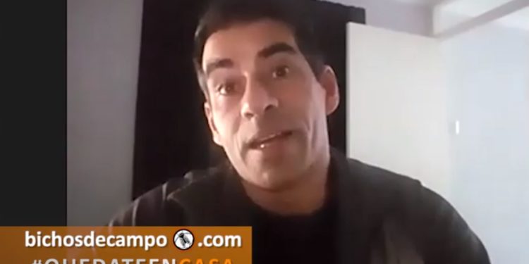 AgroPeriodistas: Desde Rauch, el “Negro” Ibañez advierte que se suspenden muchos remates ganaderos