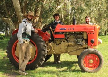 Sabores y saberes: Tres agrónomos que decidieron vivir en el campo y producir verduras agroecológicas para 100 familias en Balcarce