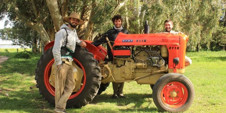 Sabores y saberes: Tres agrónomos que decidieron vivir en el campo y producir verduras agroecológicas para 100 familias en Balcarce