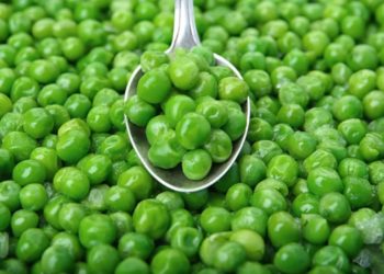 Después de siete años de gestiones, la Argentina podrá comenzar a vender arvejas a China