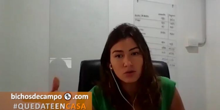 AgroPeriodistas: Ana Laura Campetella explica por qué hubo subas de frutas y verduras en los primeros días de cuarentena