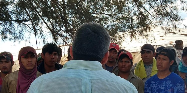 Un nuevo frente de conflicto: Falta efectivo para pagarle a quienes le ponen el cuerpo a la cosecha