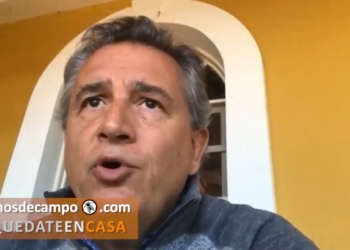 Los ex hablan del porvenir: Luis Miguel Etchevehere recomienda trazar una estrategia para poder exportar más alimentos cuando pase la pandemia