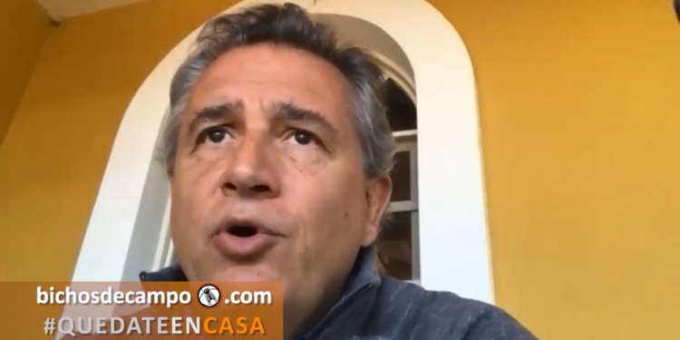 Los ex hablan del porvenir: Luis Miguel Etchevehere recomienda trazar una estrategia para poder exportar más alimentos cuando pase la pandemia