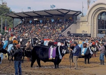 Debido al coronavirus, por primera vez el acto central de Palermo se debería hacer un 17 de octubre