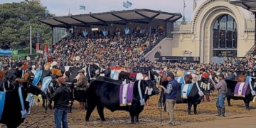 Debido al coronavirus, por primera vez el acto central de Palermo se debería hacer un 17 de octubre