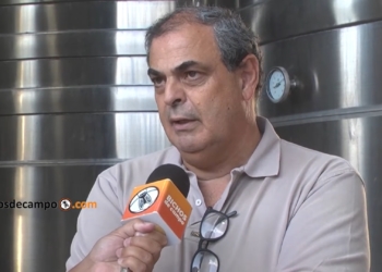 Eugenio Ferreyra analiza la crisis del vino: “La concentración en grandes corporaciones es el daño más grande que hemos permitido los bodegueros y viñateros”