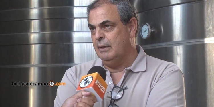 Eugenio Ferreyra analiza la crisis del vino: “La concentración en grandes corporaciones es el daño más grande que hemos permitido los bodegueros y viñateros”