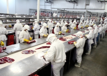 Tarde pero bienvenido: La industria frigorífica ya cuenta con un protocolo oficial para evitar más casos de Coronavirus