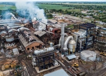 Un guiño del gobierno para extender hasta 2024 la política de fomento a los biocombustibles