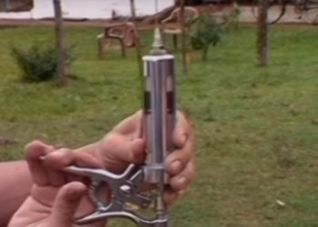 La esperanza gaucha: ¿Podrá la ivermectina salvar al mundo del coronavirus?