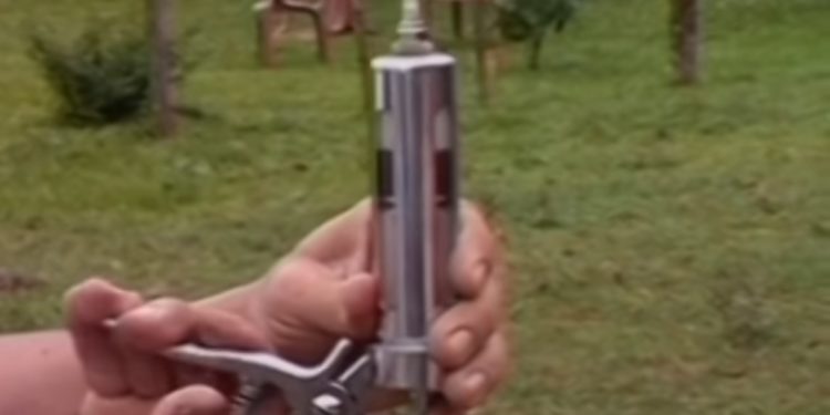 La esperanza gaucha: ¿Podrá la ivermectina salvar al mundo del coronavirus?