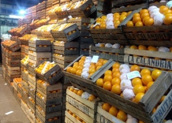 La historia de La Calandria: Una empresa citrícola que recién pudo volar cuando anidó en el mercado