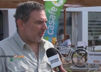 La industria de agroquímicos en un escenario de mayor presión social: “Cada vez usamos más productos Banda Verde”, destaca Federico Landgraf