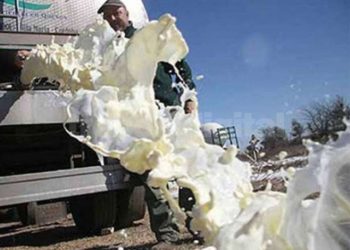 Después no lloren sobre la leche derramada: Las Pymes lácteas advierten sobre una fuerte caída de la demanda