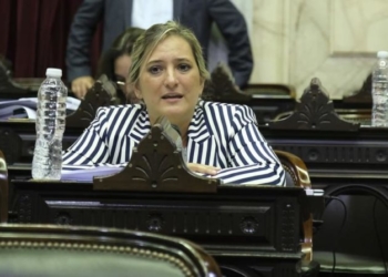 La diputada Lucila Lehmann dice que el gobierno demora los reintegros y “por ahora los productores tienen 33% de retenciones y desdoblamiento cambiario”