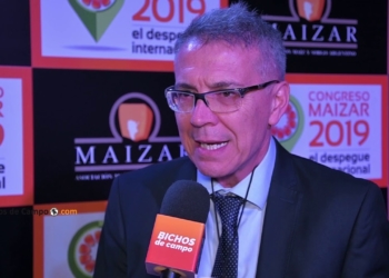 Julio Calzada, de la Bolsa de Rosario, asegura que pese a la bajante del Paraná “las exportaciones argentinas están aseguradas”