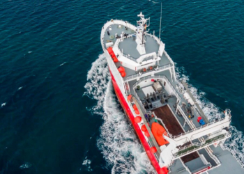 AgroEmpresas: En esta crisis, IRSA, Newsan y MSU se aferran a sus negocios en alimentos