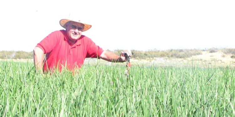 Pedro Sensini, de Villarino, vivió la gran crisis del ajo en los años 80 y teme que ahora se repita con la cebolla