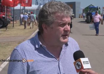 Los consejos de Tomás Peña, experto en nuevas tecnologías: El futuro está en las empresas colaborativas