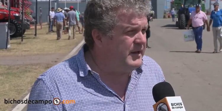 Los consejos de Tomás Peña, experto en nuevas tecnologías: El futuro está en las empresas colaborativas