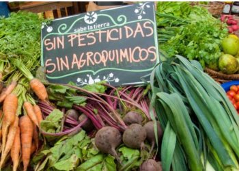 “Orgánico” no es lo mismo que “agroecológico”: Los productores aclaran ante el fuerte incremento de la demanda