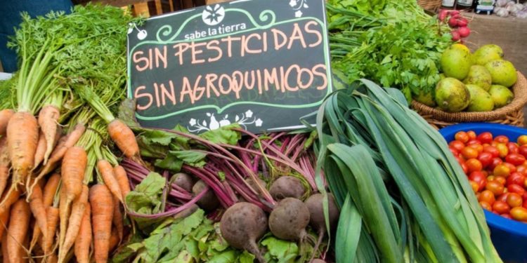 “Orgánico” no es lo mismo que “agroecológico”: Los productores aclaran ante el fuerte incremento de la demanda