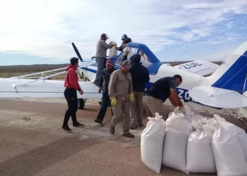 Por el auge de los cultivos de cobertura, estiman que medio millón de hectáreas ya se siembran desde aviones