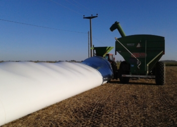 Otra que el alcohol en gel: Vuelve a crecer fuerte la demanda de silobolsas, para almacenar más de la mitad de la cosecha