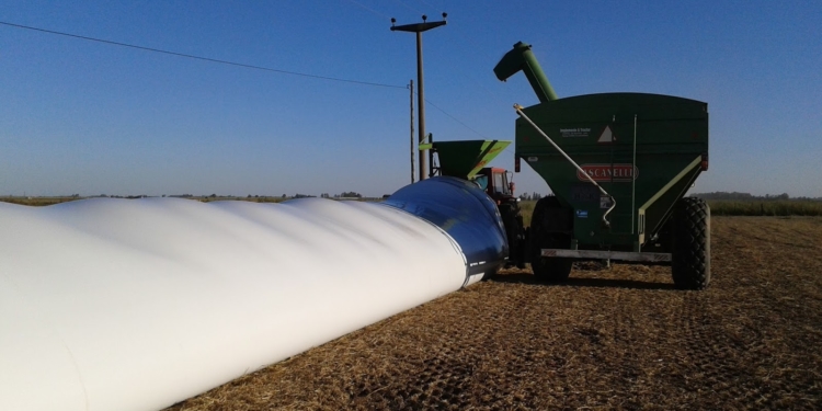 Otra que el alcohol en gel: Vuelve a crecer fuerte la demanda de silobolsas, para almacenar más de la mitad de la cosecha