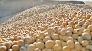 De 40 a 110: Semejante brecha cambiaria es una invitación para que los productores frenen la venta de su soja