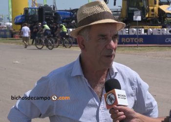 La receta de Mariano Winograd para lograr desarrollo: “Hay que liberar las fuerzas productivas” 