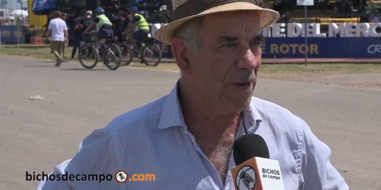 La receta de Mariano Winograd para lograr desarrollo: “Hay que liberar las fuerzas productivas” 