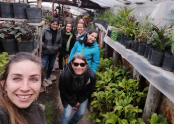 Las huertas prosperan hasta en el fin del mundo: El efecto contagio de una técnica del INTA en Tierra del Fuego