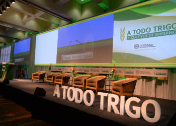 En el congreso “A todo trigo” se evaluó que hay condiciones para apostar “todo al trigo”
